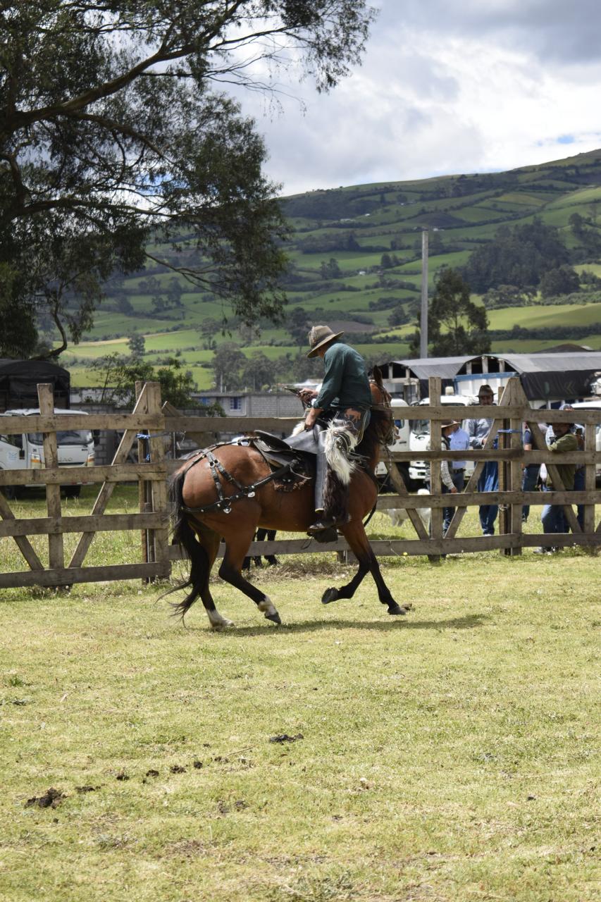 WhatsApp Image 2025-12-09 at 10.44.38 (2)